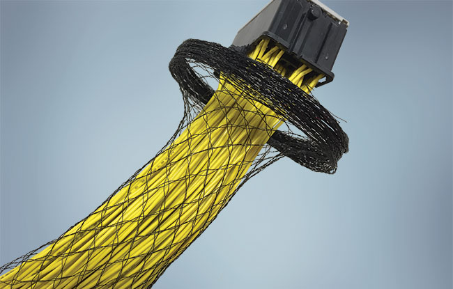Expando® PT Plus